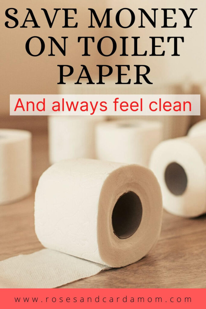 Save Money on toilet papaer and always feel clean