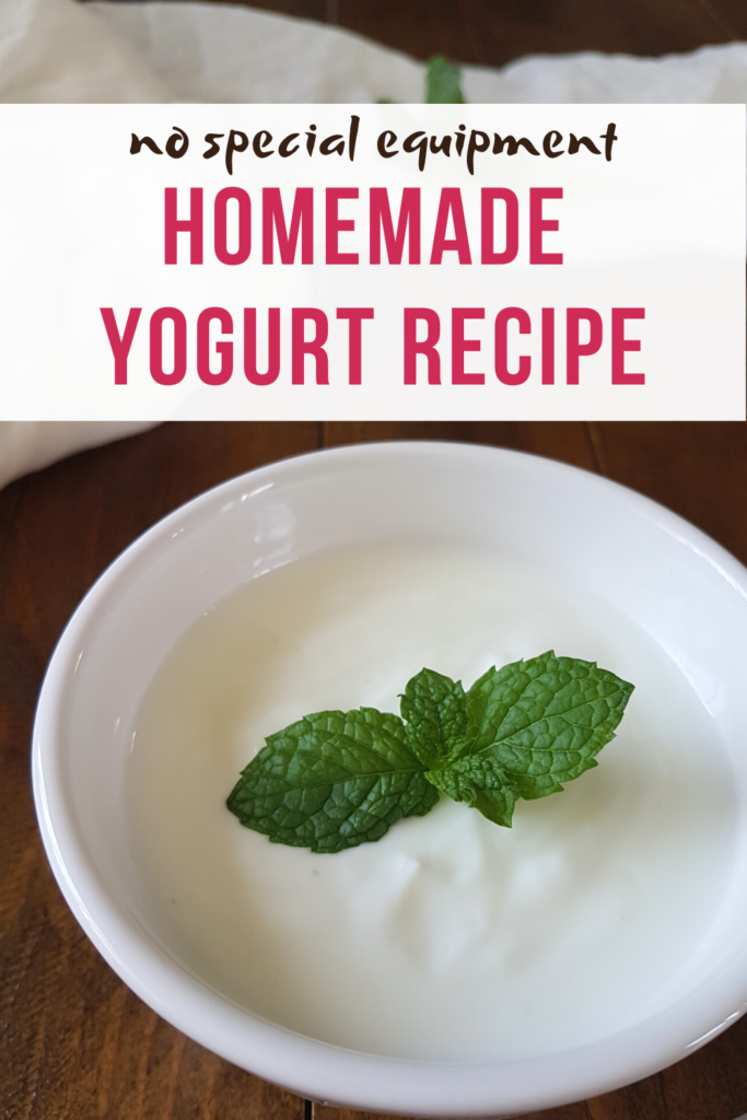 Yogurt in a white dish with a sprig of mint. Overlay text: no special equipment homemade yogurt recipe.